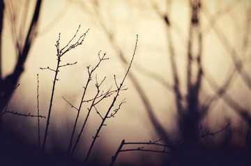 6546CD86-9D06-4EF5-86F1-63C086CB3F8B/L0/001