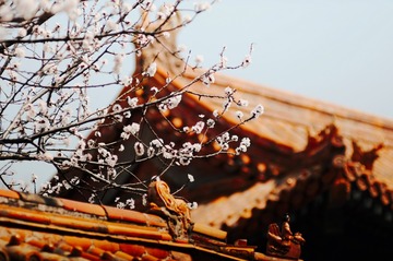 8A675ED9-921F-47E1-99FC-2FAC71220701/L0/001