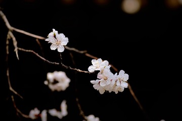 1726EC1A-CF9A-4E17-A117-0F418095528B/L0/001