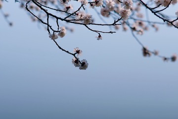 D7FFE1B5-FF0E-4949-B98F-1AF3EE80AEA2/L0/001