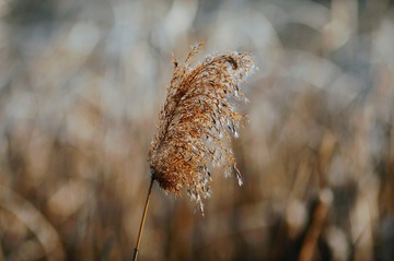 A74CBFB8-2C10-46D9-A36D-20657F52D69A/L0/001