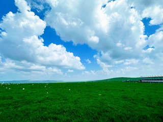 95608BEC-AD7C-4F6E-8504-C152A5AC945D/L0/001