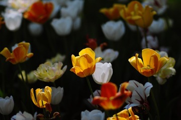 D8D45962-1FB2-4432-8285-B7FFCDFAFA0D/L0/001