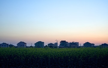163087