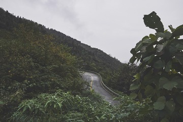 _DSC3359