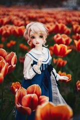 Volks Rapunzel
