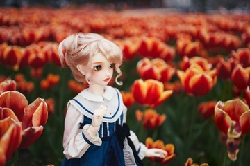 Volks Rapunzel