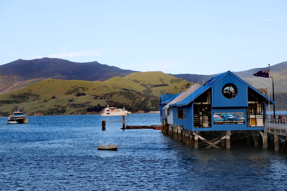 新西兰南岛akaroa法国小镇