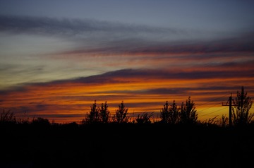 _IGP2494