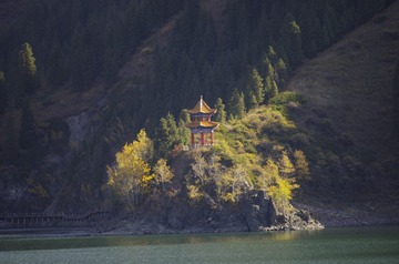 _IGP2233