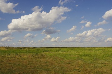 _IGP1446