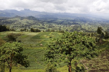 08-27-2009 - 204811 IMG_3485