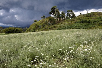 05-26-2009 - 154721 IMG_1980