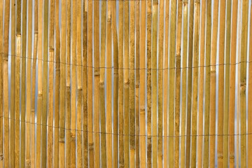 03-25-2009 - 173038 IMG_0972