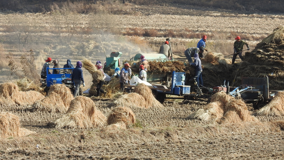 土产利润怎么样