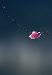 01D85769-D6FC-42A9-95AF-97685D114364/L0/001