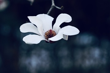 71554487-F62A-44D7-ACD6-A2912EA9ED57/L0/001