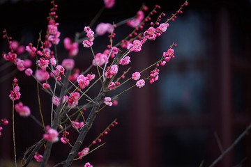 06CCD472-B74D-403D-BA3B-01E5A36DB709/L0/001