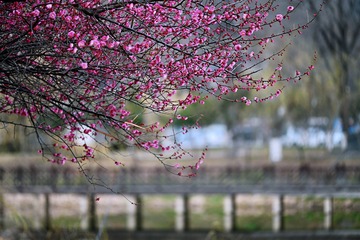 A4CE0B4C-76E6-471E-9DB0-DFA16E083718/L0/001