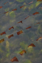 154580