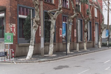 _DSC0098