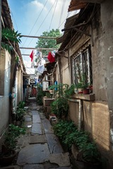 _DSC0213-1