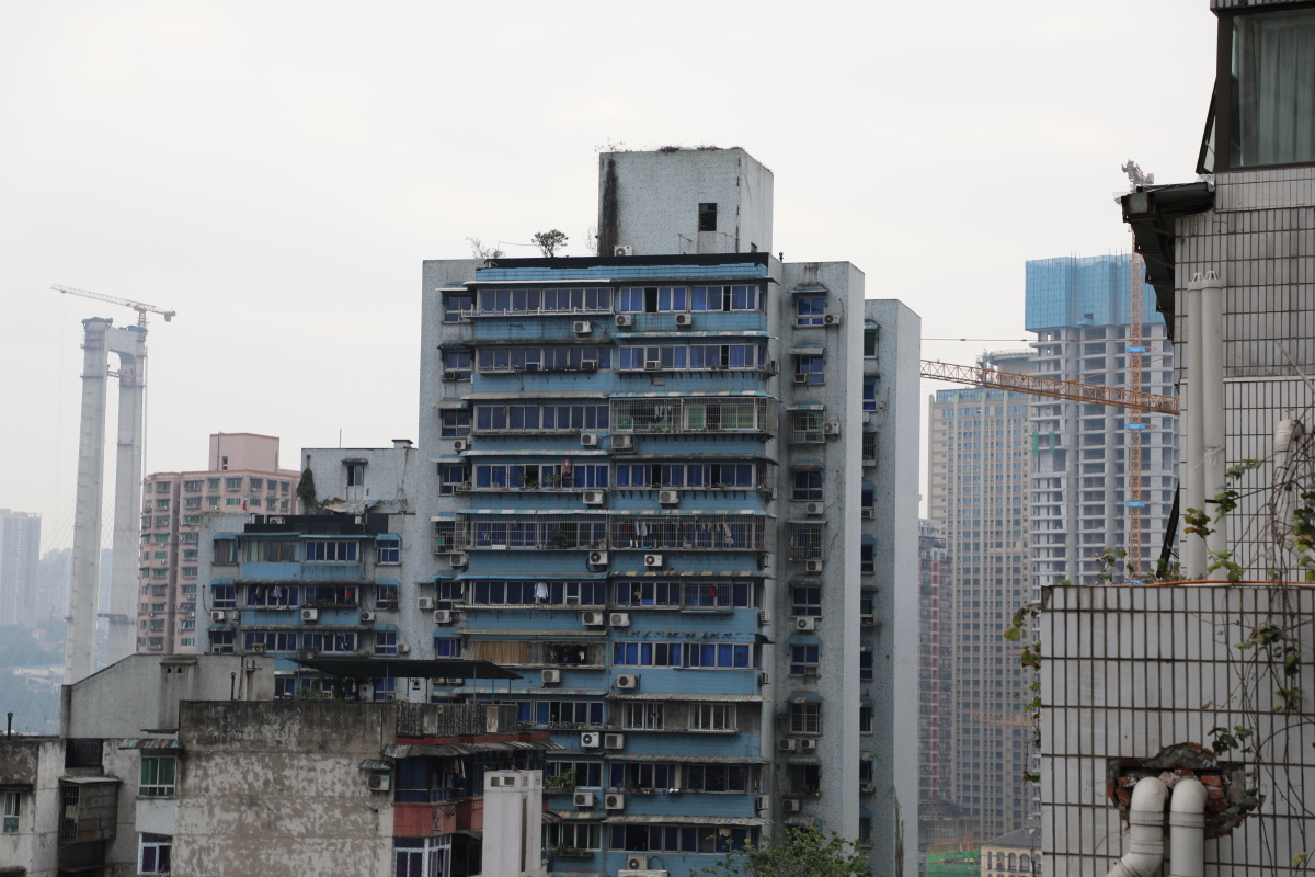 山城重庆狗哥,腻在组啥子 - lunar-is - 图虫