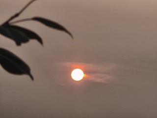 1000048459