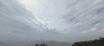 1000017288