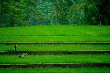 20120220-DSC08384.jpg