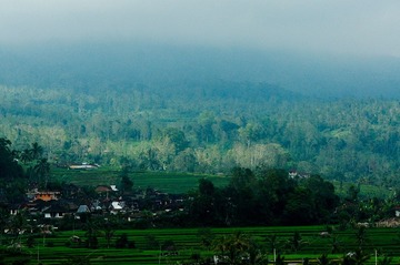 20120220-DSC08344.jpg
