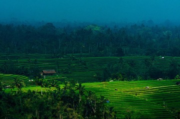 20120220-DSC08345.jpg