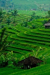20120220-DSC08350.jpg