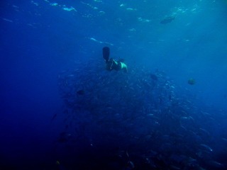 20120221-DSC03075.jpg