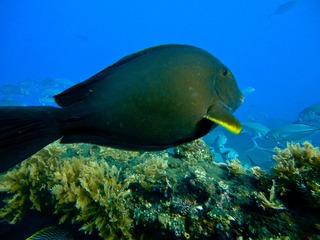 20120221-DSC03079.jpg