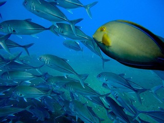 20120221-DSC03099.jpg