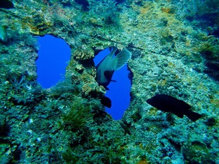 20120221-DSC03109.jpg