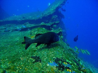 20120221-DSC03127.jpg