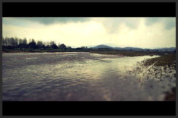 DSC_1741_Fotor
