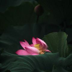 001