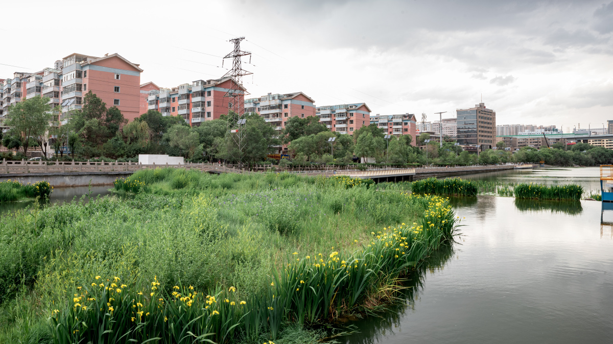 清凉之夏西宁南川河
