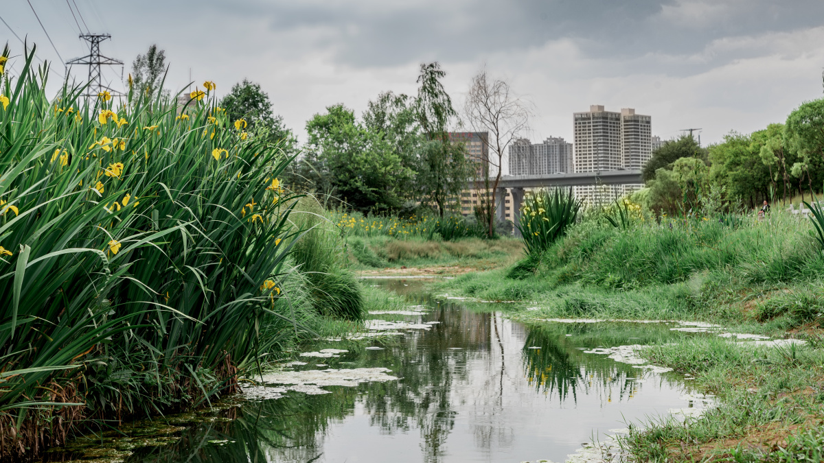 清凉之夏西宁南川河