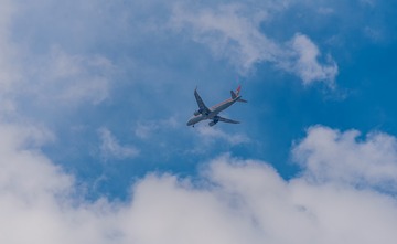 26041