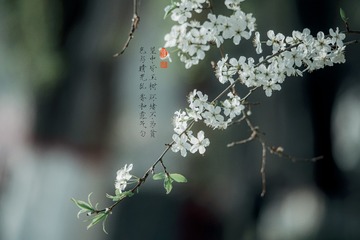 1735932