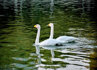 IMG_20161102_123709