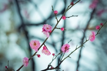 C938C708-121B-49D7-A462-9D7B90311455/L0/001