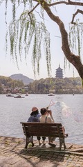 拂堤杨柳醉春烟
