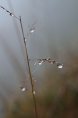658231