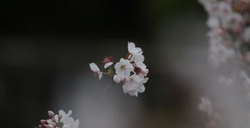 788783