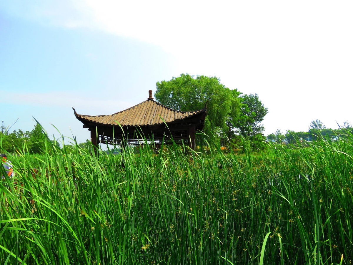 长阳湿地公园景色宜人风景如画